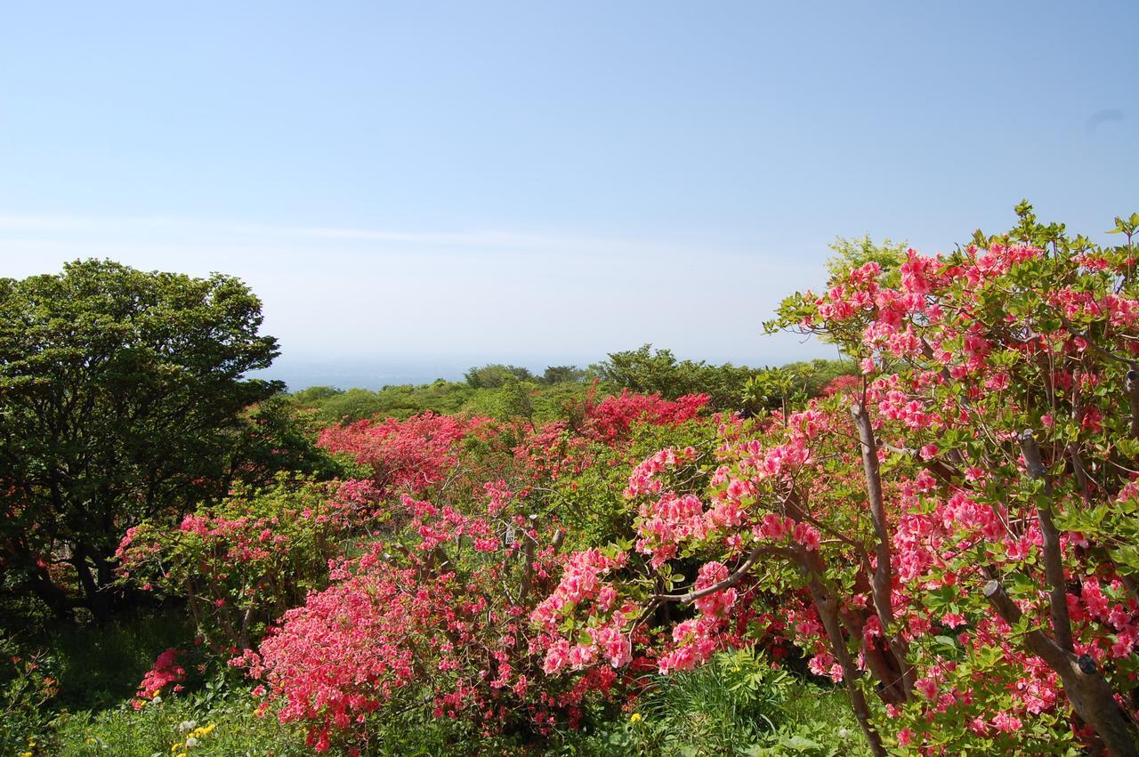 Kunihiro Yashiki Otel Nasu Dış mekan fotoğraf